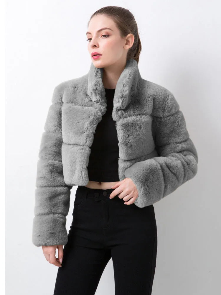 Stand Collar Covered Long Sleeve Thick Warm Faux Fur Mini Coat