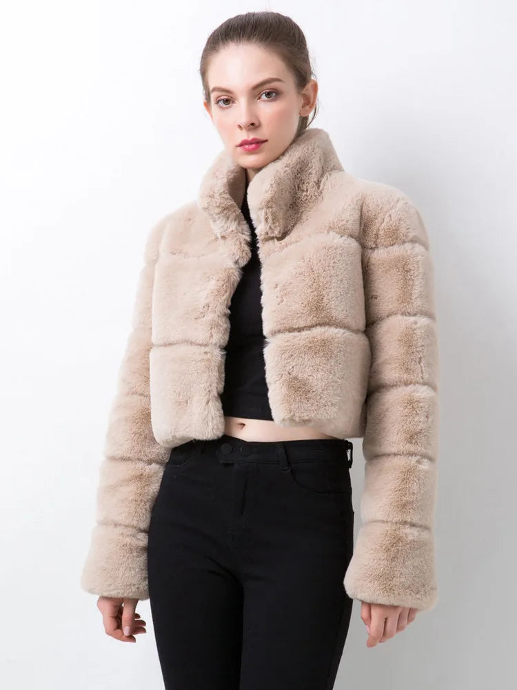 Stand Collar Covered Long Sleeve Thick Warm Faux Fur Mini Coat